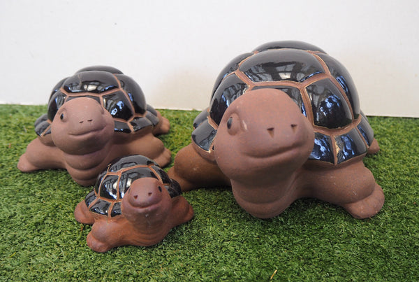 Glazed Turtles