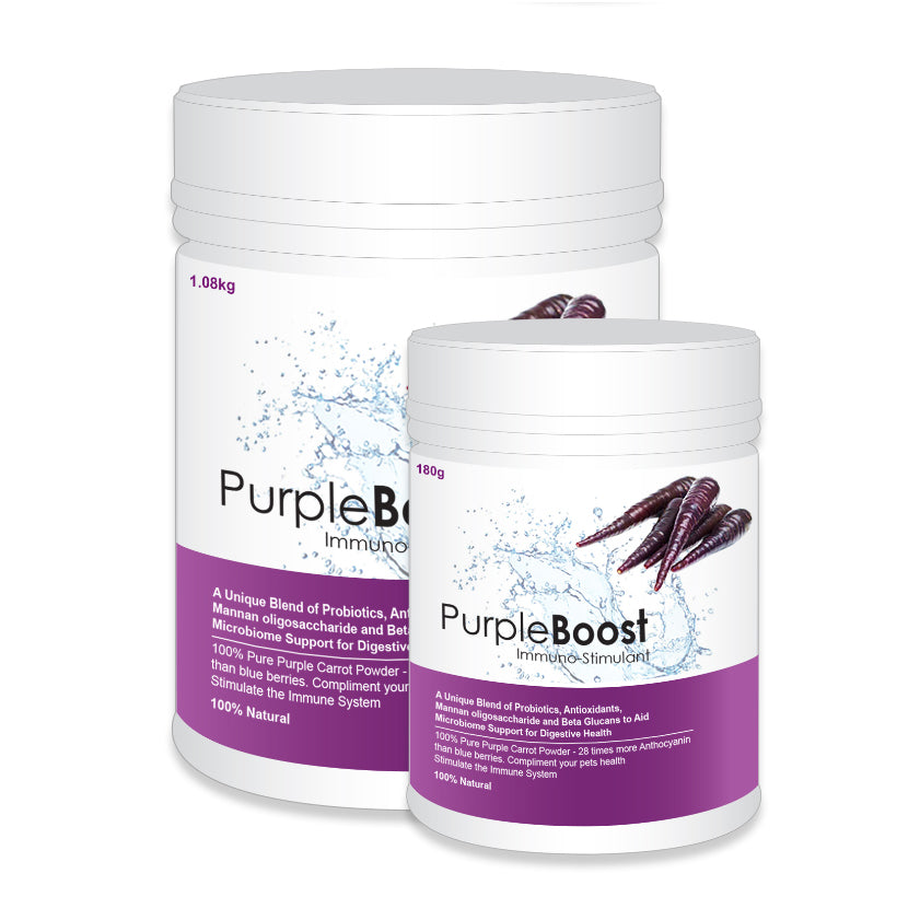 LIFEWISE PURPLE BOOST 180G